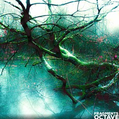 Octave - Fragments ( V2 ) ( Bandcamp)