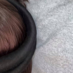 شيلة العدو لامن حضرنا