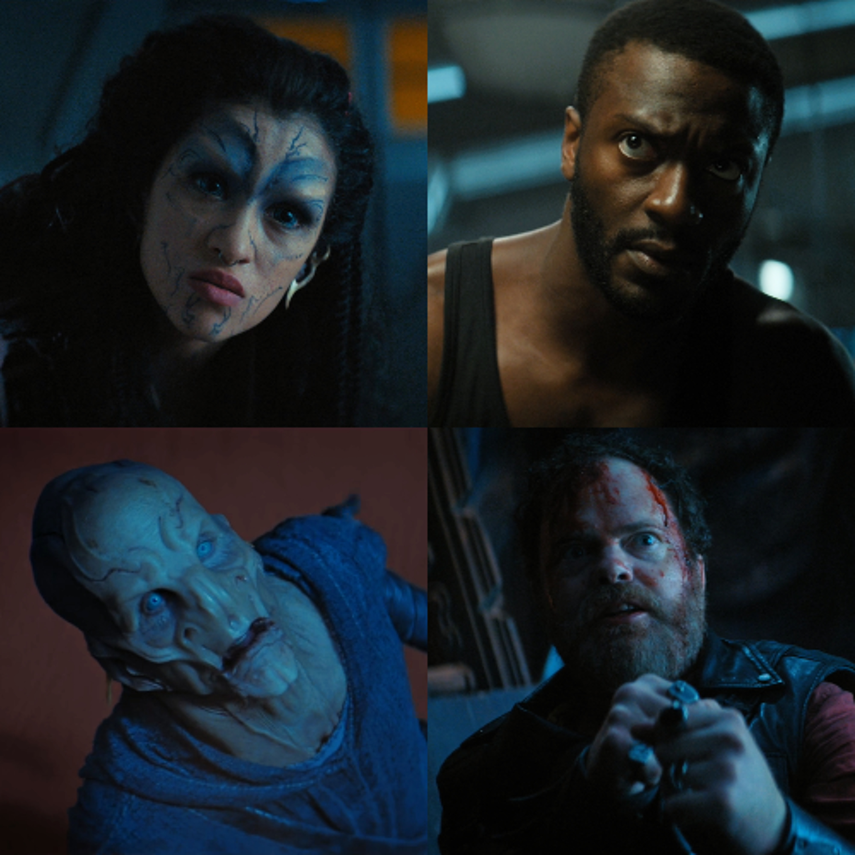 A Star to Steer Her By