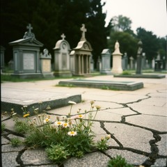 The dead lie nestled.wav