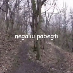 negaliu pabegti w/danxas