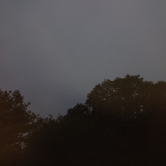 gaml - butterfly wings (p. macintosh robinson)