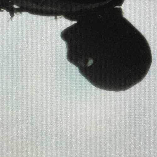 7xvn Snippets/Unreleased