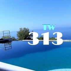 TW 313