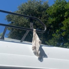 la culotte de la mariée.wav
