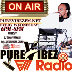 _2_26_25_REBROADCAST VIBEZ WEDNESDAYZ-PUREVIBEZFM.NET-DJ SHAGGYDANGER