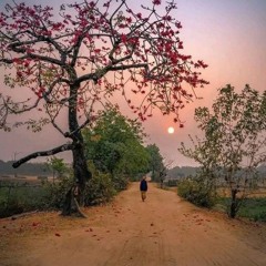 ﴿يَا قَوْمِ إِنَّمَا هَٰذِهِ الْحَيَاةُ الدُّنْيَا مَتَاعٌ﴾