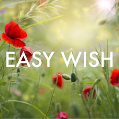 EASY WISH