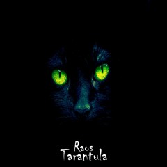 Tarantula ( Original Mix ) 🎧 Mescalina Records 🎧