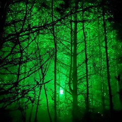 HITECH | FUNKY FOREST