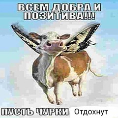 fnf