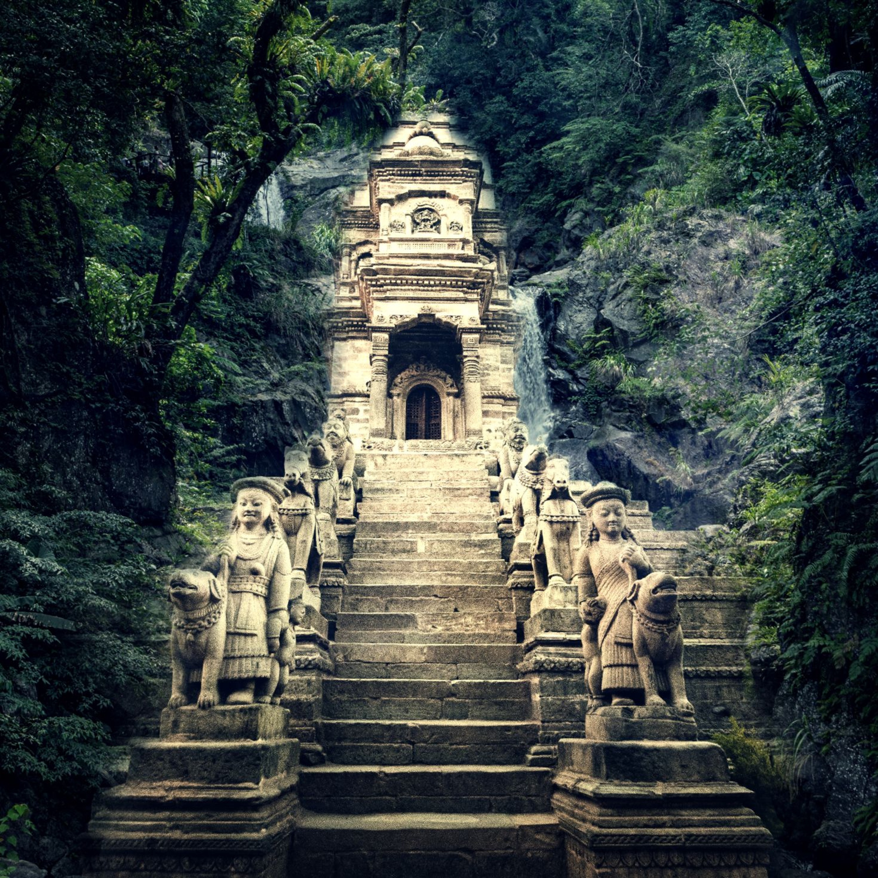 Track cover