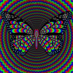 Vocal Psychedelic Trance  ◉ Summer Set Mix ◉ Trance Nation 2021_1672883103365.mp3