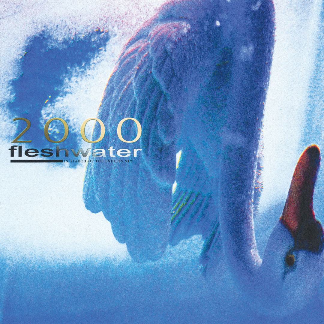 Hard Rise Stream Be Your Best by Fleshwater | Listen online for free on SoundCloud