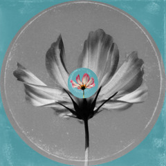 CVBA | Don't Walk Where i Mopped | mix series 002