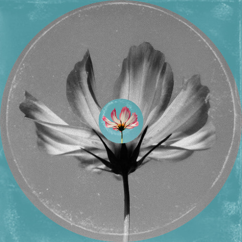 CVBA | Don't Walk Where i Mopped | mix series 002