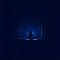 HYYFNN - The Void Inside