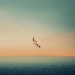 Trust Fall