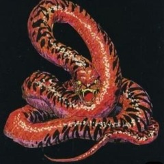 slow roasted w/ dj peanut: 14th November '25