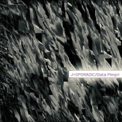 J>Sporadic/Data Pimp>Track 2
