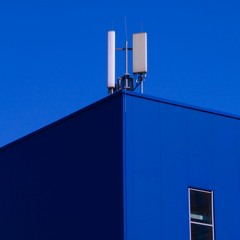 Ecbert And His Friends