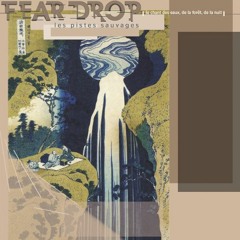 Kodak Strophes (Martyn Bates) (Feardrop #18)