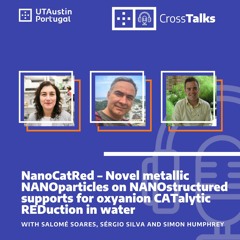 Cross Talks #11 - NanoCatRed