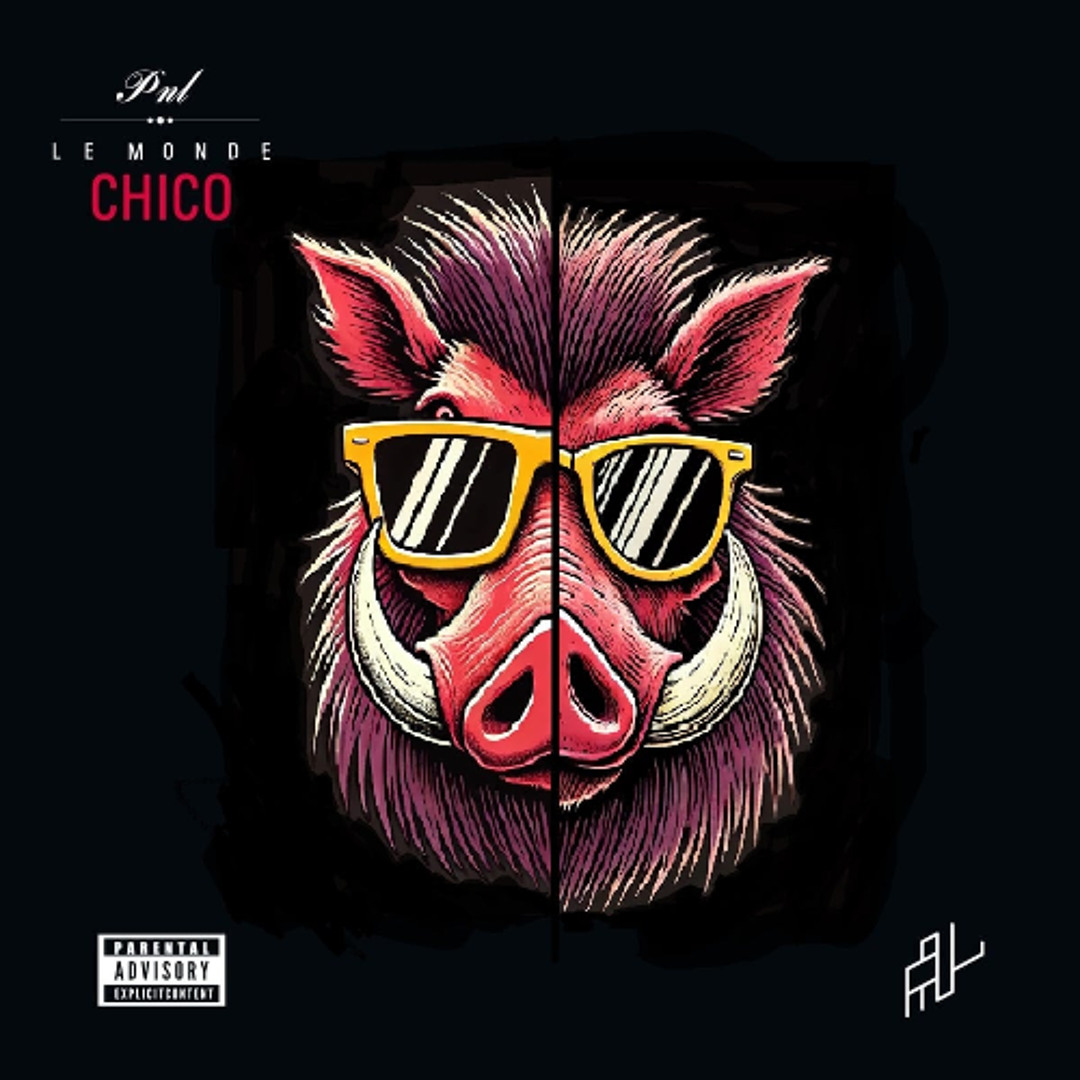 Stream Laisse [PNL Guitar cover] by BiToP Records | Listen online for free  on SoundCloud