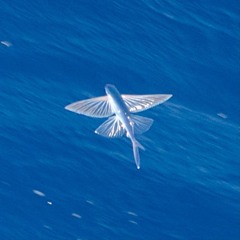 Mooov Prod. Blancothewiz (DEMO)