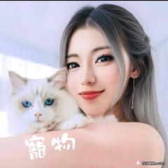 寵物