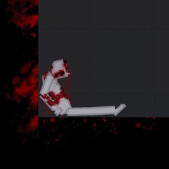 OPEN WOUND