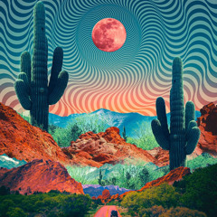 Peyote Panthro Desert Dreams