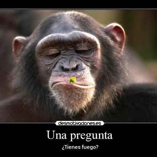 Tengo Una Pregunta 2.0