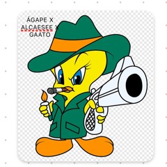 K YO ESTOY PA VERLA ÁGAPE GAATO ALCAESEE