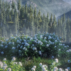 Adoration (Love and Deepspace OST)