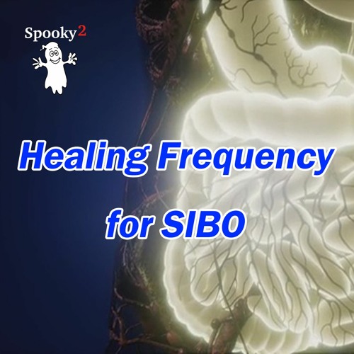 Healing Frequency for SIBO - Spooky2 Rife Frequency Healing