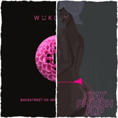 Backstreet Ho (Wuki and Franc Attack Edit) (Stay Phresh Flip) *FREE DL*