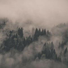DRONE / AMBIENT / DREAMPUNK
