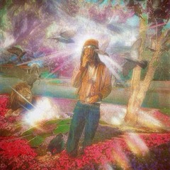 Pesk shawty - narcobip