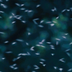 provoker - swarm of flies (doomr edit) SPED UP
