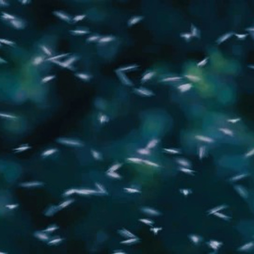 provoker - swarm of flies (doomr edit) SPED UP