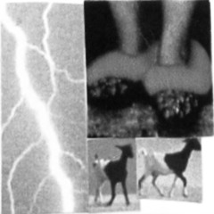 with you rough draft