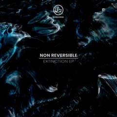 Non Reversible - Deconstruct (Soma585d)