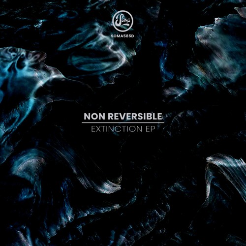 Non Reversible - Deconstruct (Soma585d)