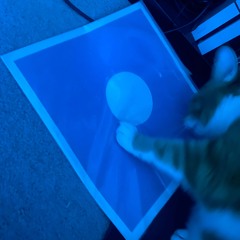 His Foot Stance.9-Paws on Wax