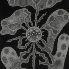 Symbiosis 001