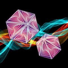 In  Symbiosis Live Show