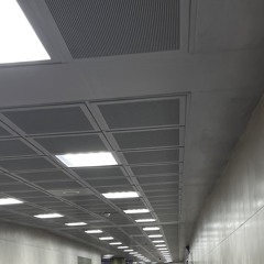 i come back from heaven