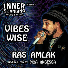 Vibes Wise