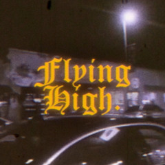 flyinghigh.